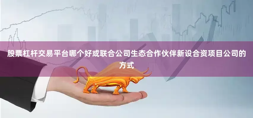 股票杠杆交易平台哪个好或联合公司生态合作伙伴新设合资项目公司的方式